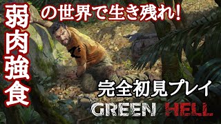 PS5  GREEN  HELL  フレンドとサバイバル生活