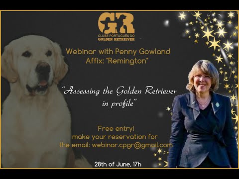 Webinar: "Assessing the Golden Retriever in profile"