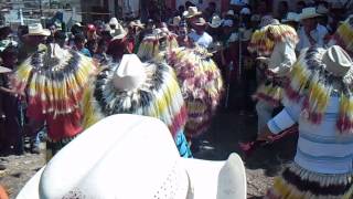 preview picture of video 'CARNAVAL ZOQUE DE SAN FERNANDO, CHIAPAS. DANZA DE TIGRE. FEBRERO 2015'