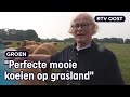 Deze koeienpis stinkt niet! Hoe kan dat? | RTV Oost