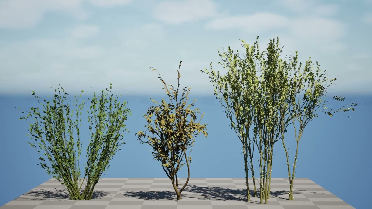 British Arran Whitebeam Collection 3D Model