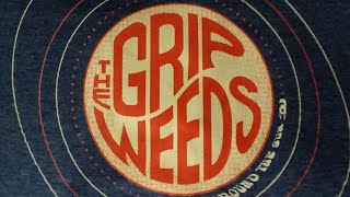Beatles fans, do yourself a favor, check out THE GRIP WEEDS