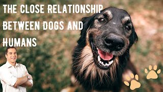 The Close Relationship Between Dogs and Humans