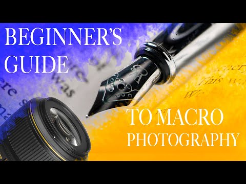 Beginners guide to macro photography and lighting tips
