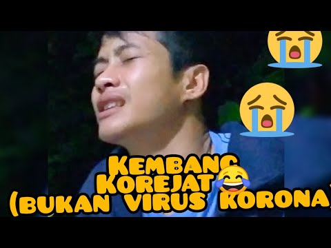 Satu tetes bunga korejat dapat membuat satu peria dewasa menangis 😂