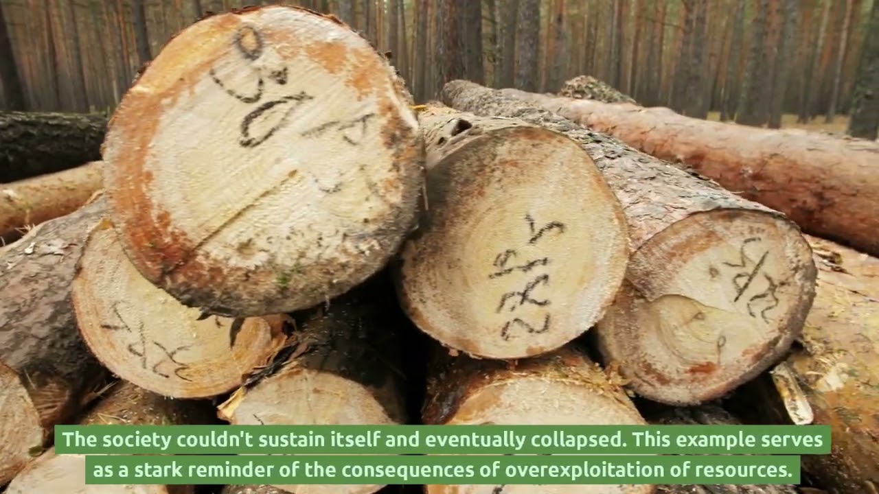 Three Historical Examples That Illustrate How Societies Have Faced Serious Consequences