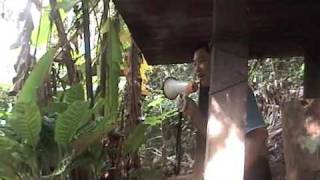 Download lagu MALAYSIA MERDEKA - Komunis Letak Senjata BETONG, Yala mp3