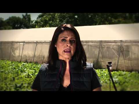 Food Matters | Sustainable food sourcing | 21 April 2020