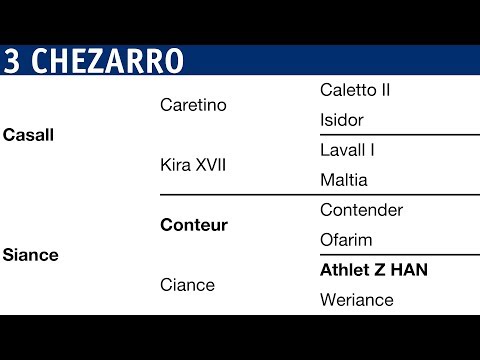 Holsteiner Körung 2018 | Nr. 03 - Chezarro