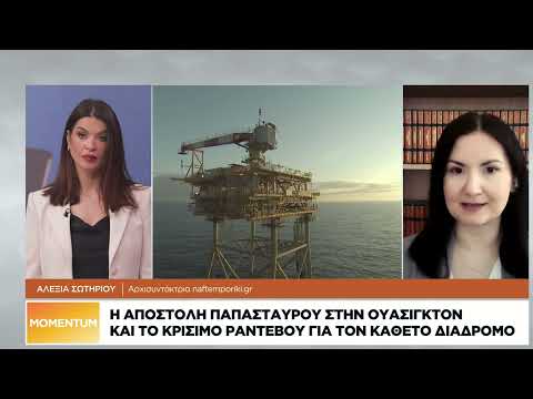 Η αποστολή Παπασταύρου στην Ουάσιγκτον