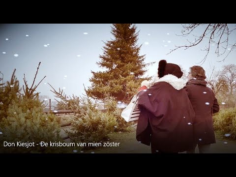 Don Kiesjot - De krisboum van mien zöster