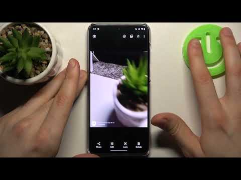 How to Take Live Photos on the MOTOROLA Edge 30 Neo - Active Photos Camera Feature