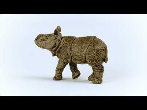 Indian Rhinoceros Baby