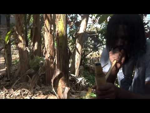 Don Tippa - Nah Hide And Smoke It - CORNA SHOP RIDDIM [Official Promotional Video]2013