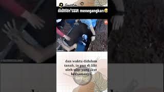 Download lagu viral demi konten badan di kubur terlilit ular #livestream #live # mp3