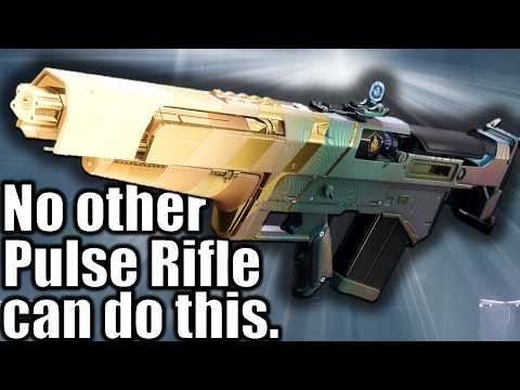 The insane Blast Furnace God Roll NO OTHER Pulse Rifle can get...
