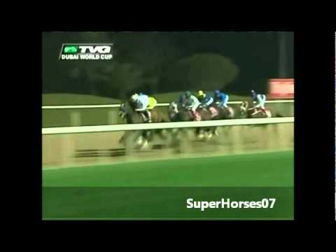 Curlin. 2008 Dubai World Cup