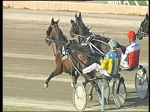 Trotto 06/05/2016 - 7° Corsa