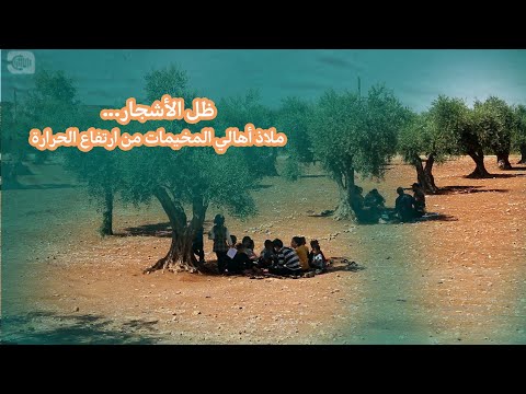ظل الأشجار ملاذ أهالي المخيم من حر الصيف