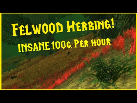 Classic WoW: Insane Felwood Herbing! Post Hotfix 100g Per Hour!