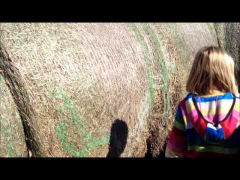Hay Bale Maze