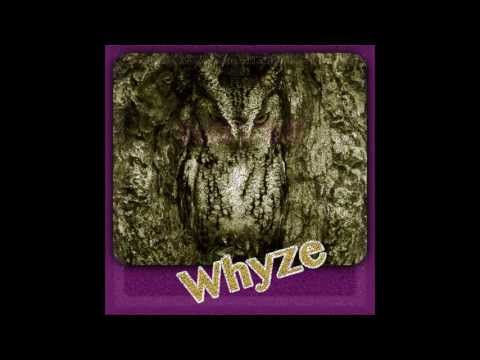 Whyze-Next Level 3