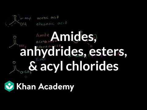 Amides, Anhydrides, Esters and Acyl Chlorides 