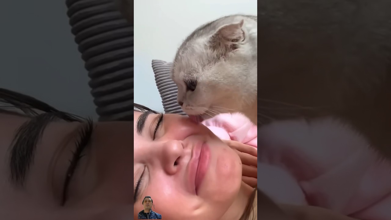 papins31😁#shorts #funnyvideos #funny #viral #cat #catlover #pets #animals #cats