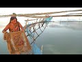 Cast Net Fishing Beautiful Village Woman Catching Fish With A Cast Net Part 35