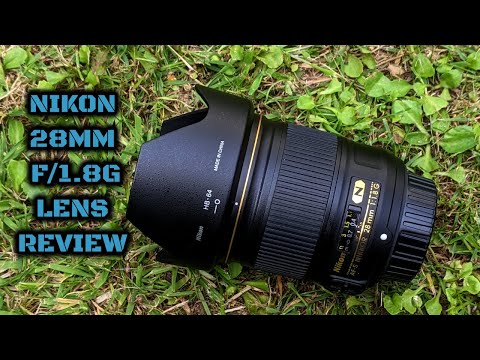 Video thumbnail for Video Review 1
