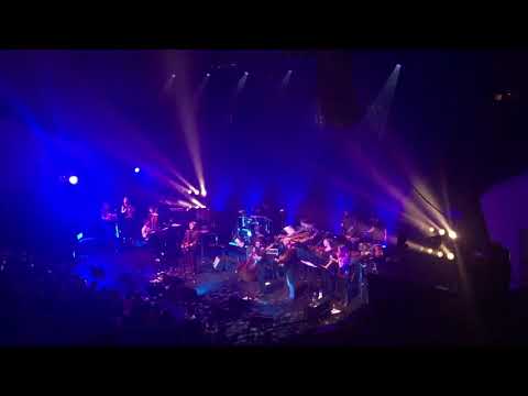 Neil Finn & Glen Kotche's Unlimited Orchestra - Major Tom -