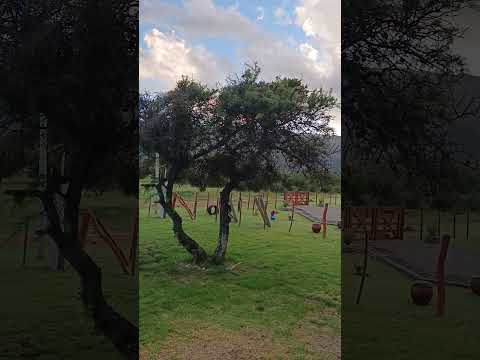 CORTADERAS, San Luis, ARG