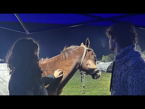 San José de Feliciano 2026💕🐎