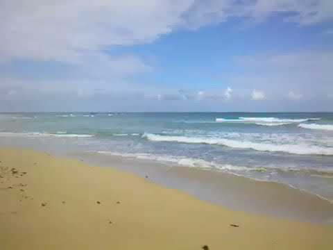 Terrenos Uvero Alto, Punta Cana,Joan Bienvenido Bruno Jorge