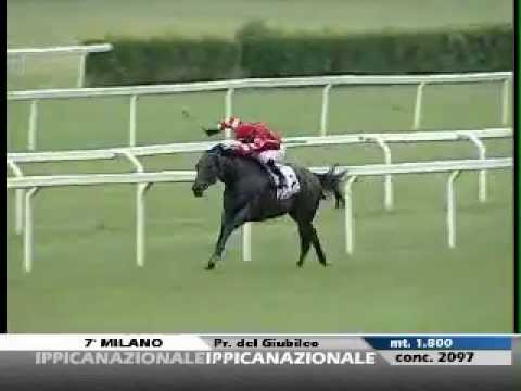 Premio del Giubileo 2012 (LISTED RACE)