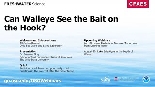 Freshwater Science: Can Walleye See the Bait on the Hook?