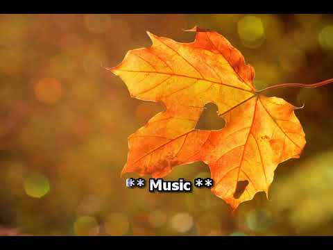 Maly Vu - Daim Nplooj Qhua Karaoke