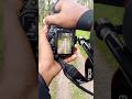 Take Picture Natural Fotography Foto Pohon Sawit