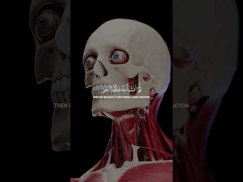 Surah Muminoon Verse no:14 by Sheikh Yasser Al Dossari | Quran verses on how humans were created.