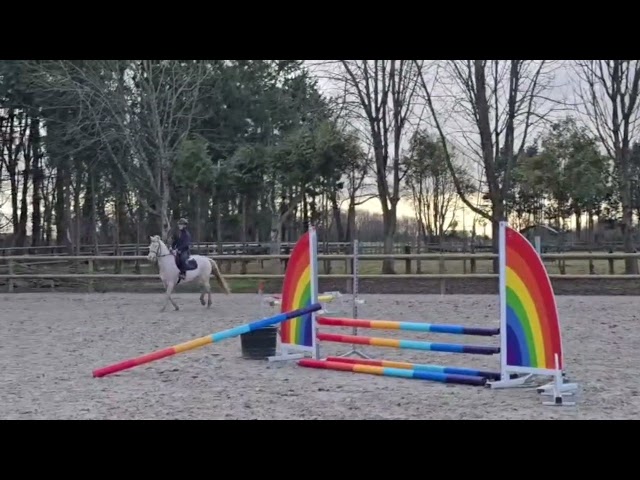 Jument PFS d&rsquo;avenir 