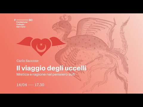 Il viaggio degli uccelli - Carlo Saccone