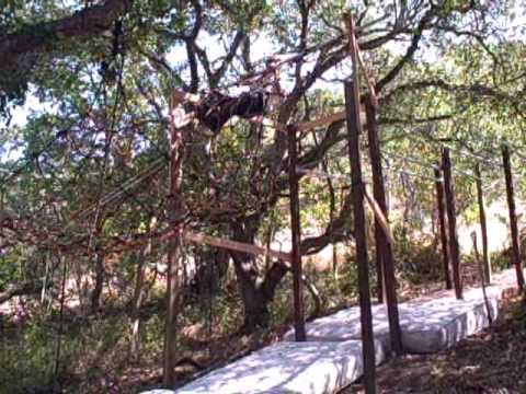 David Campbell American Ninja Warrior (Sasuke 23) Entry Video