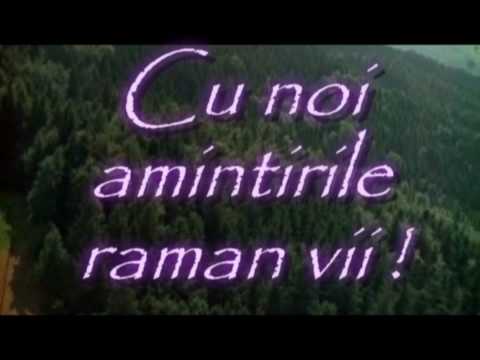 filmare cameraman nunta eveniment generic videoclip