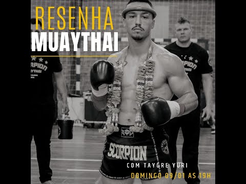 Resenha MuayThai #12 Taygre Yuri