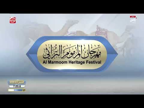 ش 2 خنجر الحول المحليات (أبعاد) لـ هجن الشحانية 12:02:88 ، ختامي المرموم 2026/4/2