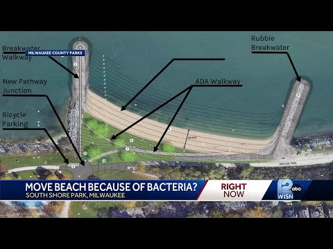 Move beach because of bacteria?