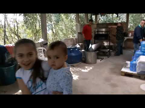 Feitio Ayahuasca Luz da floresta.