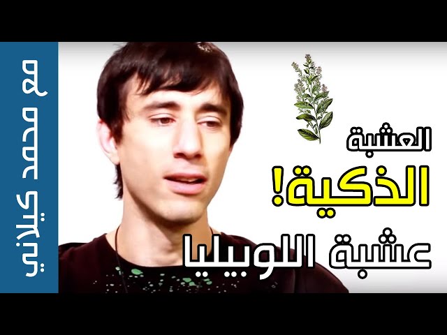 عشبة اللوبيليا العضوية 50 جرام