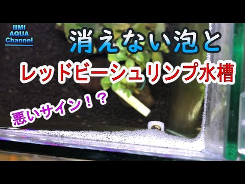 水の凍結を防ぐ方法