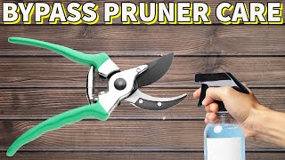 How To Clean And Maintain PRUNING SHEARS | Easy DIY Guide